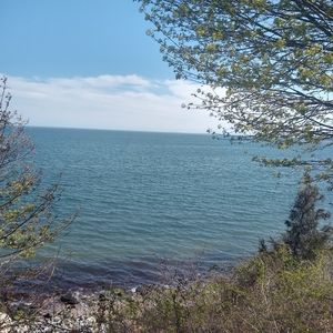 Meet your Posher, Cynthia